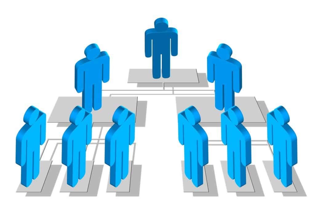 Estructura organizacional
